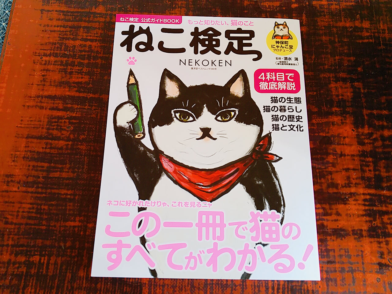 ねこ検定～猫の耳はすごいんだよ～ – 猫の爪とぎ Caricarina(カリカリーナ)