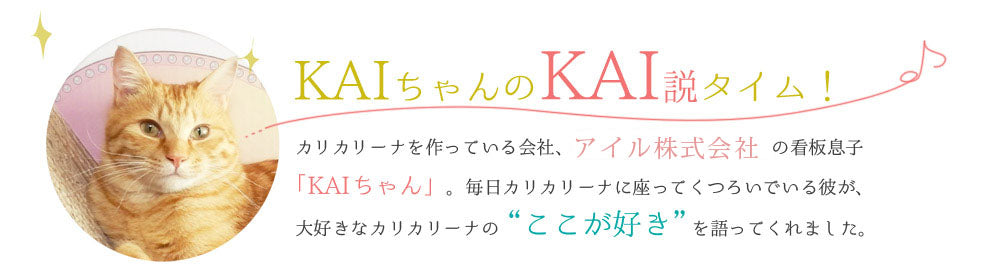 カイちゃんのKAI説｜Adessoは猫にとって最高のベッドだにゃん – 猫の爪とぎ Caricarina(カリカリーナ)