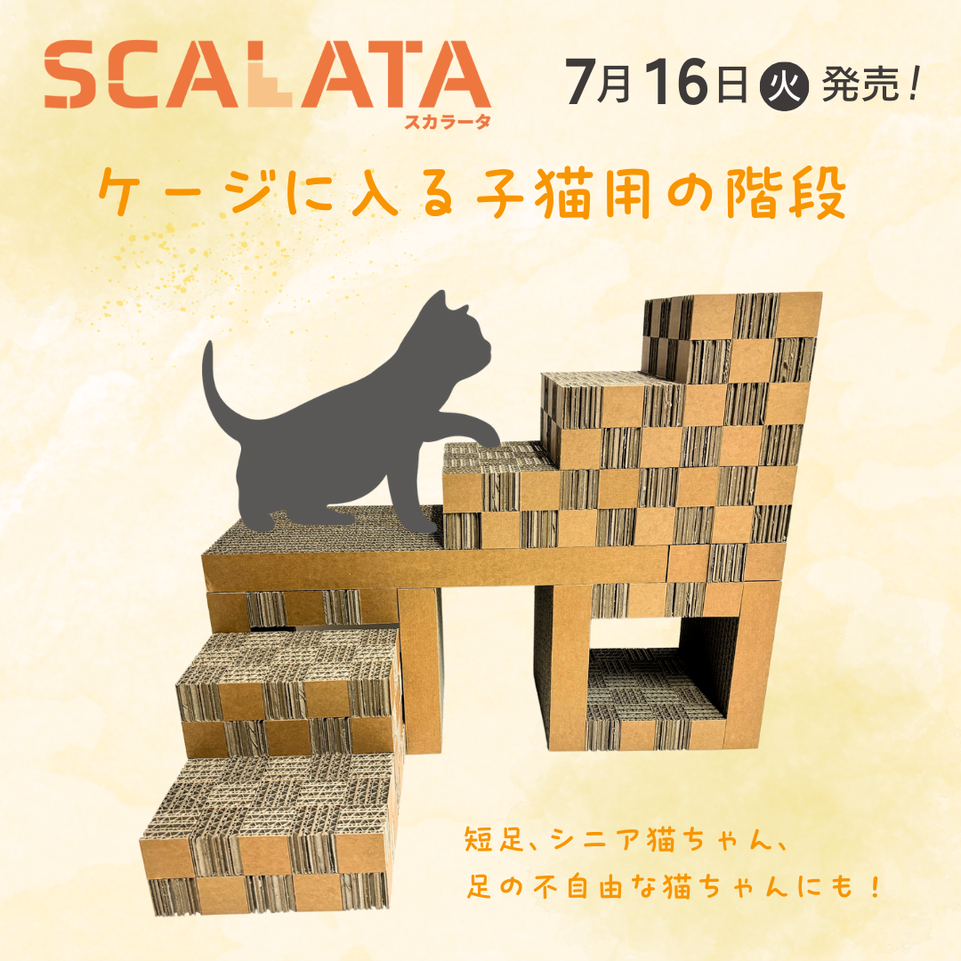 【7/16発売！】ケージに入る子猫用の階段「カリカリーナピッコラ SCALATA（スカラータ）」 – 猫の爪とぎ Caricarina(カリカリーナ)