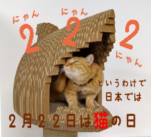 ユルさに納得！語呂合わせを楽しむ猫の記念日