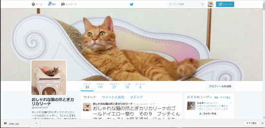 ツイッターはじめました