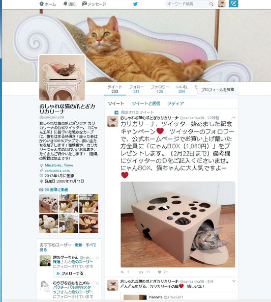 ツイッターキャンペーンはじまりました