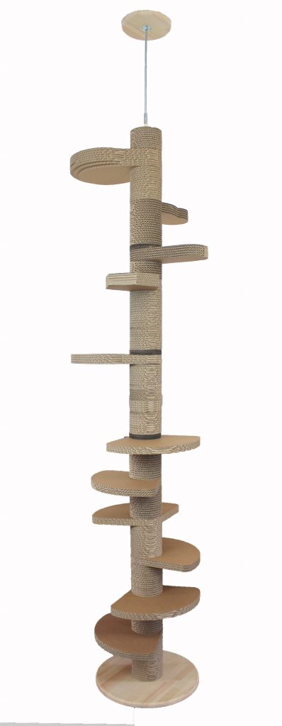 【新商品】カリカリーナTorre（トーレ）