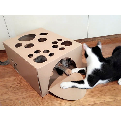 猫まっしぐら『にゃんBOX』 – caricarina